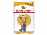 ROYAL CANIN British Shorthair Adult Beutel 12x85g in Soße (Mit Rabatt-Code...