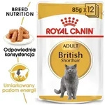 ROYAL CANIN British Shorthair Adult Beutel 12x85g in So&szlig;e