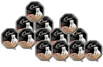 CESAR Junior Schale 14x150 g &ndash; Alleinfuttermittel f&uuml;r Welpen, mit Truthahn und