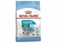 Royal Canin Mini Starter Mother & Babydog 8kg (Mit Rabatt-Code ROYAL-5 erhalten...