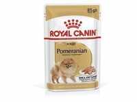 ROYAL CANIN Pomeranian 12x85g (Mit Rabatt-Code ROYAL-5 erhalten Sie 5% Rabatt!)