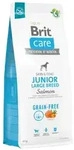 BRIT CARE Dog Grain-free Junior Large Breed Salmon 12kg