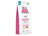 BRIT CARE Dog Grain-free Puppy Salmon 12kg + Überraschung für den Hund (Mit