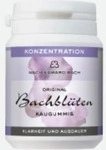 PZN-DE 03629655, Hager Pharma ORIGINAL BACHBL&Uuml;TEN KAUGUMMI No 41 FOCUS 40 St