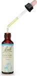 PZN-DE 00053232, Nelsons BACHBL&Uuml;TEN Original Chicory Nr.8 20 ml Tropfen 0.02 l,