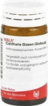 PZN-DE 00081234, WALA Heilmittel WALA Cantharis Blasen Globuli velati 20 g Globuli
