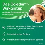 PZN-DE 06349838, MCM Klosterfrau Vertriebsgesellschaft mbH Soledum 100mg 100 St