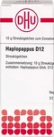 PZN-DE 07247666, DHU-Arzneimittel HAPLOPAPPUS D 12 10 g Globuli, Grundpreis: &euro;