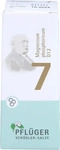 PZN-DE 17286874, Hom&ouml;opathisches Laboratorium Alexander Pfl&uuml;ger Sch&uuml;&szlig;ler-Salz Nr.