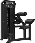 Tunturi 25PVS24000, Tunturi Platinum Dual Back/Abdominal Combo Selectorized...