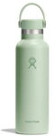 Hydro Flask Standard Mouth Hydro Flask Flex Cap aloe/aloe - Gr&ouml;&szlig;e 621 ml S21CSX338