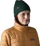 Patagonia 29105, Patagonia Fishermans Rolled Beanie cascade green