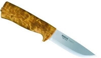 Helle Eggen birke - Gr&ouml;&szlig;e 10cm 200075