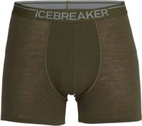 Icebreaker Anatomica Boxers loden - Gr&ouml;&szlig;e S 103029