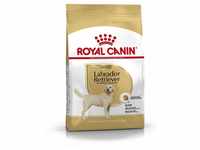 Royal Canin Hundefutter Labrador Retriever Adult 12 kg