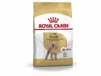 Royal Canin Hundefutter Poodle Adult 1,5 kg