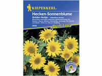 Kiepenkerl Sonnenblume Golden Hedge Helianthus annuus, Inhalt: ca. 30 Pflanzen
