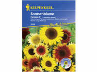 Kiepenkerl Sonnenblume Fantasia Helianthus annuus, Inhalt: ca. 20 Pflanzen