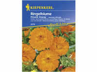 Kiepenkerl Ringelblume Prinzeß Orange Calendula officinalis, Inhalt: ca. 80 Pflanzen