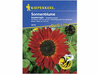 Kiepenkerl Sonnenblume Samtkönigin Helianthus annuus, Inhalt: ca. 40 Pflanzen