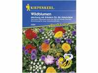 Kiepenkerl Saatgut Wildblumen 2-3 m²