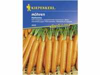 Kiepenkerl Möhre Narbonne Daucus carota ssp. sativus Inhalt: ca. 8-10 lfd....