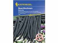 Kiepenkerl Buschbohne Bluevetta Phaseolus vulgaris var. nanus, Inhalt: ca. 8-10 lfd.