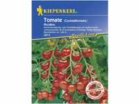 Kiepenkerl Tomate Picolino Solanum lycopersicum, Inhalt: 6 Korn