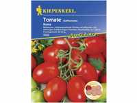 Kiepenkerl Tomate Roma VF Solanum lycopersicum, Inhalt: 25 Korn
