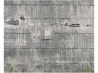 Rasch Vlies Fototapete 445510 Grau Muster & Motive 3,00 m x 3,72 m