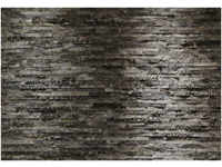 Komar Fototapete Birkenrinde 368 x 254 cm
