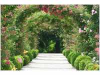 papermoon Vlies- Fototapete Digitaldruck 350 x 260 cm Rose Arch Garden