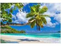 papermoon Vlies- Fototapete Digitaldruck 350 x 260 cm Seychelles Palm Beach