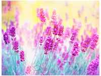papermoon Vlies- Fototapete Digitaldruck 350 x 260 cm Lavender Flower