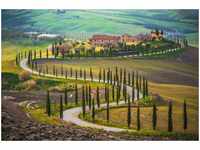 papermoon Vlies- Fototapete Digitaldruck 350 x 260 cm Fields in Tuscany