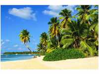 papermoon Vlies- Fototapete Digitaldruck 350 x 260 cm Exotic Palm Beach