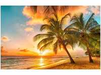 papermoon Vlies- Fototapete Digitaldruck 250 x 180 cm Barbados Palm Beach