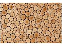 papermoon Vlies- Fototapete Digitaldruck 350 x 260 cm Round Teak Wood