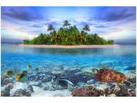 papermoon Vlies- Fototapete Digitaldruck 250 x 180 cm Marine Life Maldives