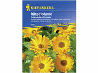 Kiepenkerl Ringelblume Calendula officinalis, Inhalt: ca. 100 Pflanzen