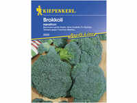Kiepenkerl Brokkoli Marathon Brassica oleracea var. italica, Inhalt: ca. 40 Pflanzen