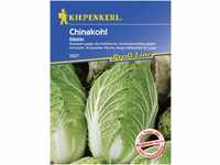 Kiepenkerl Chinakohl Kilakin Brassica rapa subsp. pekinensis, Inhalt: ca. 20 Pflanzen