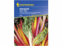 Kiepenkerl Mangold Bright Lights Beta vulgaris var. vulgaris, Inhalt: ca. 50 Pflanzen
