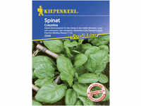 Kiepenkerl Spinat Columbia Spinacia oleracea, Inhalt: 6 Ifd. Meter