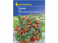 Kiepenkerl Tomate Vilma Solanum lycopersicum, Inhalt: 10 Korn