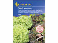 Kiepenkerl Batavia-Salat Teide Leny Lactuca sativa, Inhalt: 2 x 2,5 Meter Saatreihe