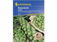 Kiepenkerl Rosenkohl Crispus Brassica oleracea, Inhalt: ca. 10 Pflanzen