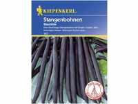 Kiepenkerl Stangenbohne Blauhilde Phaseolus vulgaris var. vulgaris, Inhalt: 8-10