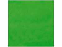 Fimo Soft tropischgrün 57 Gramm