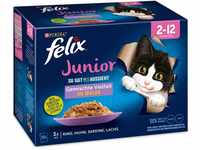 Felix Junior Gemischte Vielfalt in Gelee Katzenfutter 12 x 85g